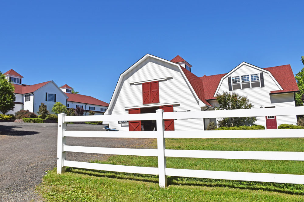 Chester Horse Farm